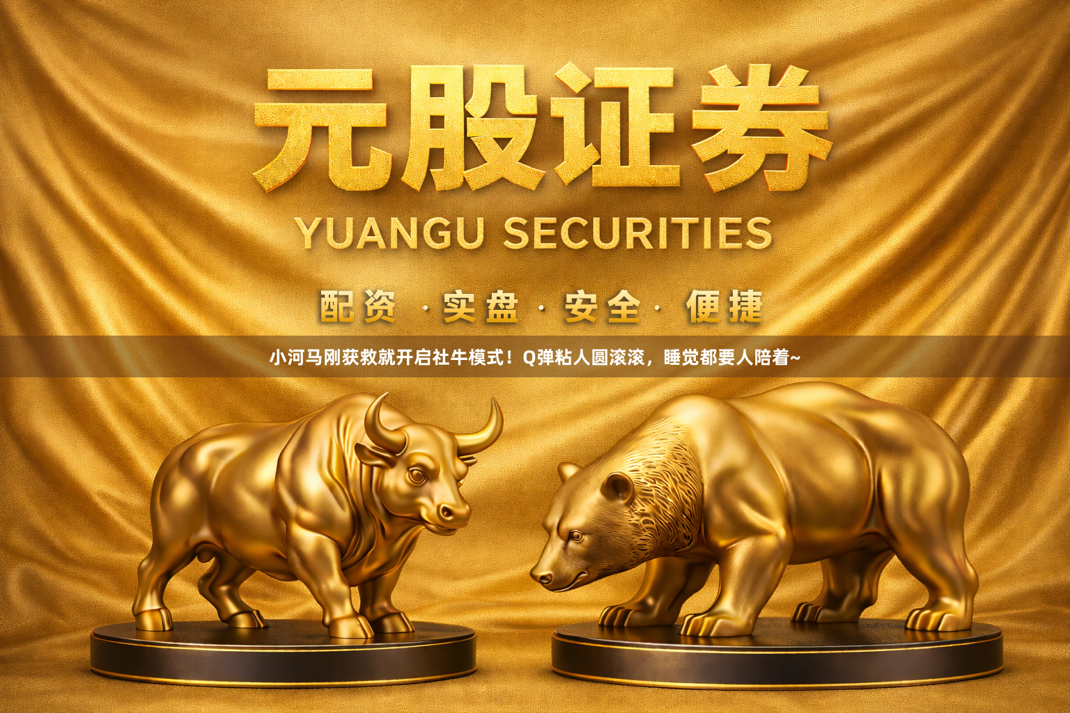 小河马刚获救就开启社牛模式!Q弹粘人圆滚滚,睡觉都要人陪着~